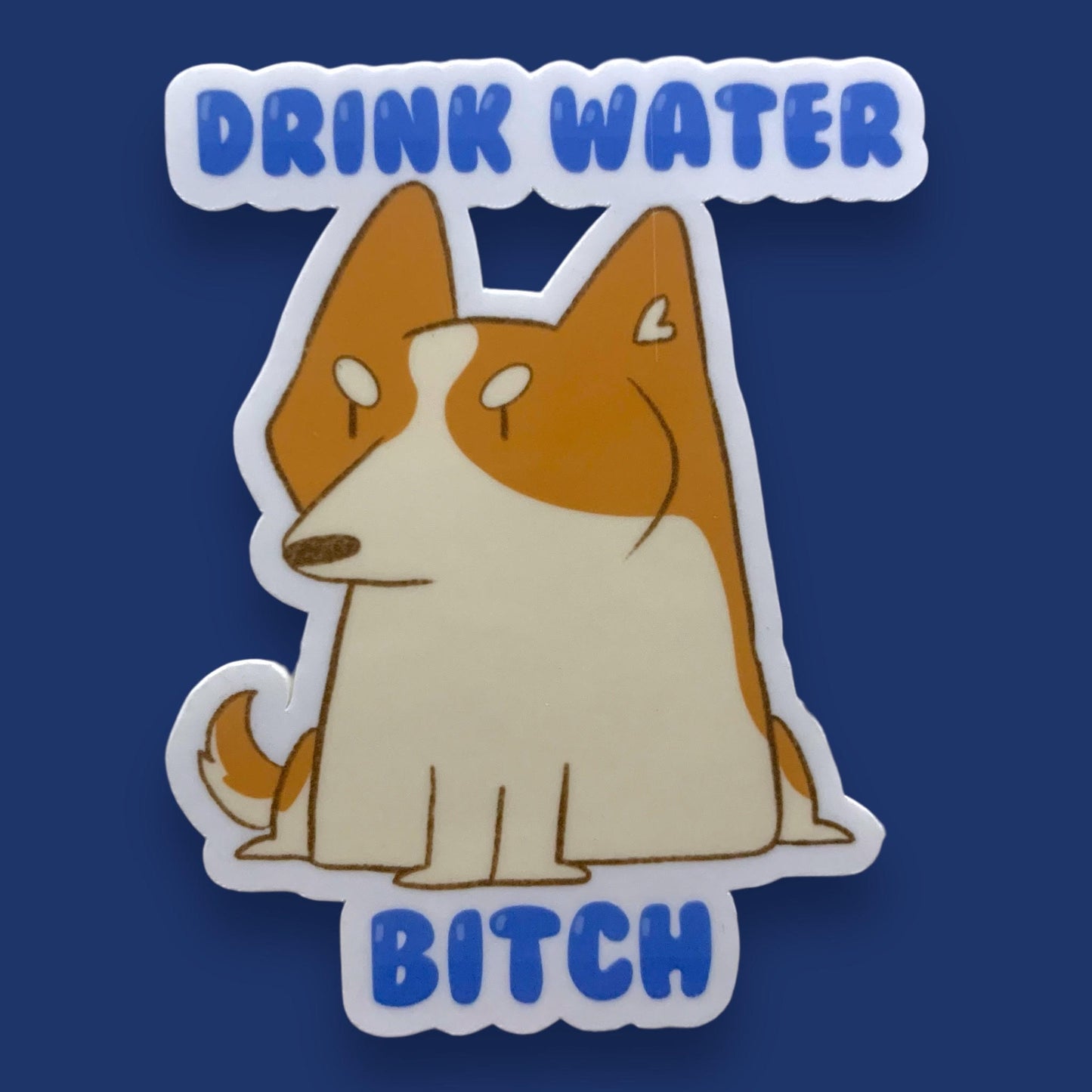 Drink Water Sticker