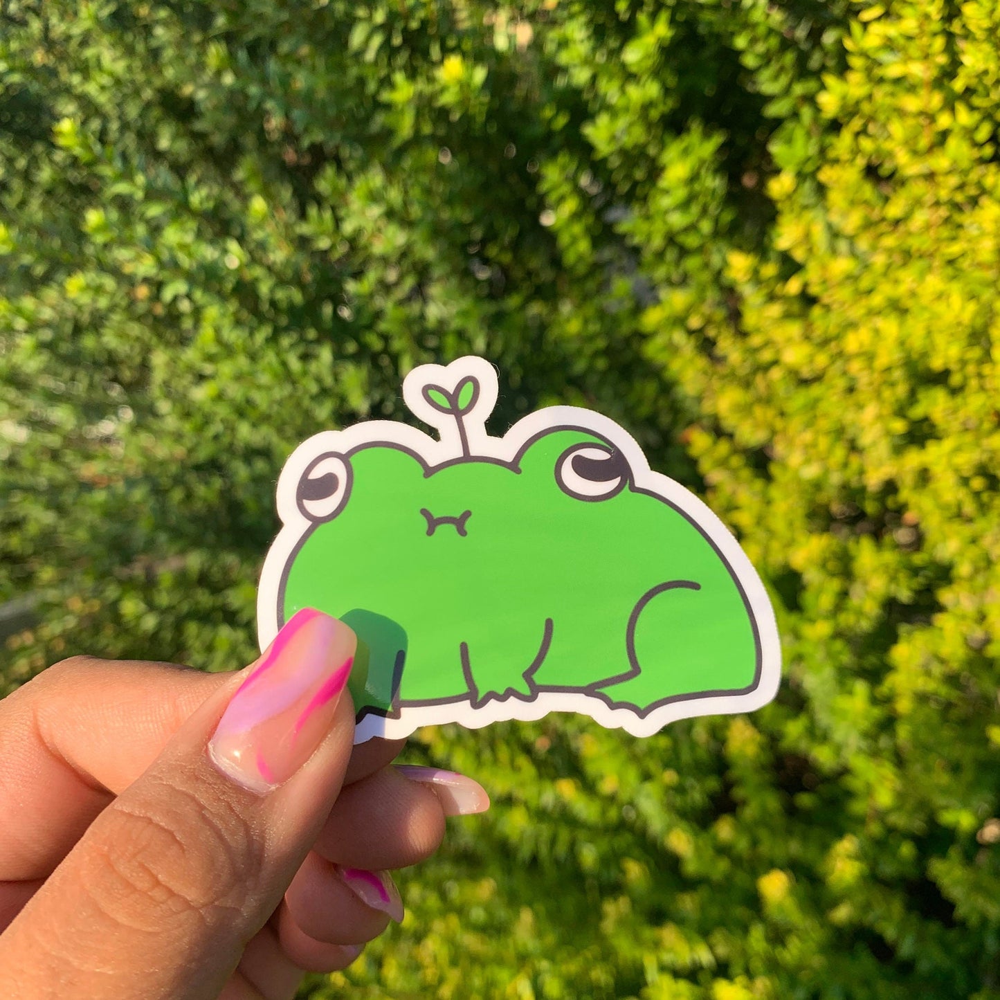 Froggie Boiz Sticker Pack