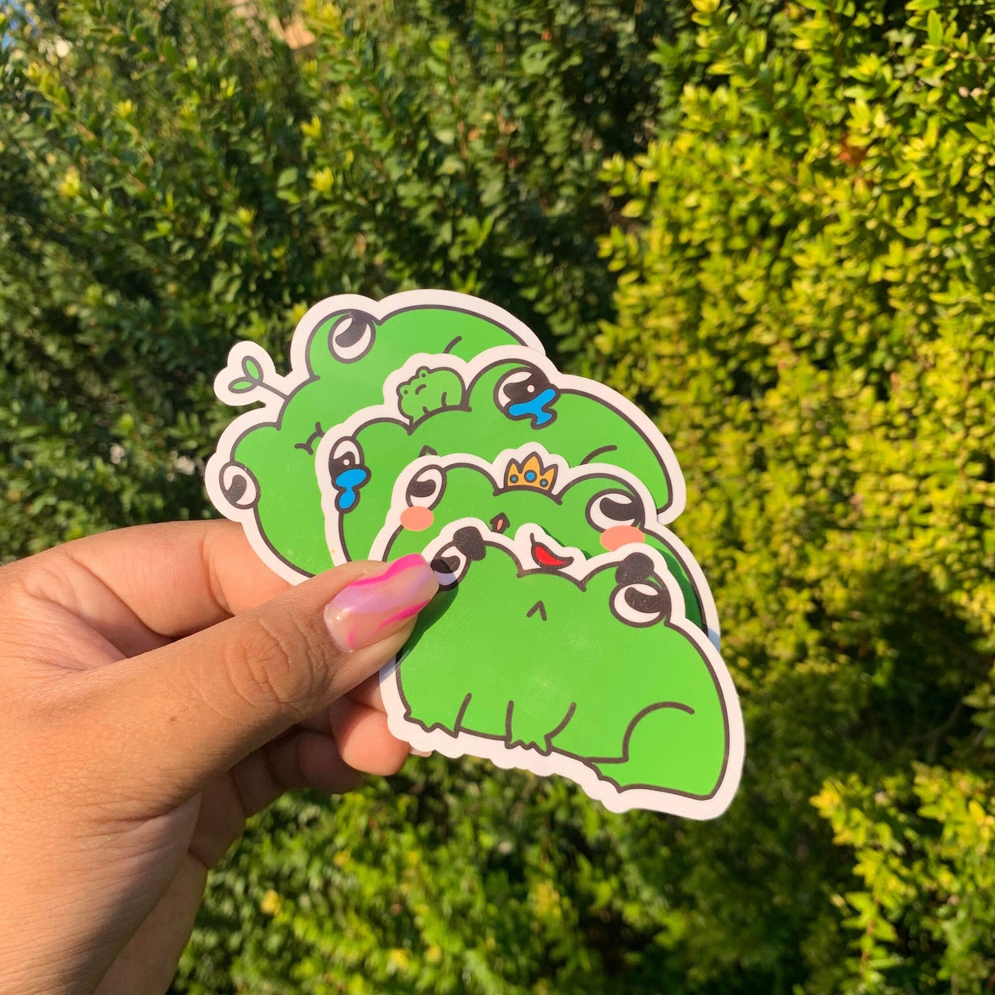 Froggie Boiz Sticker Pack