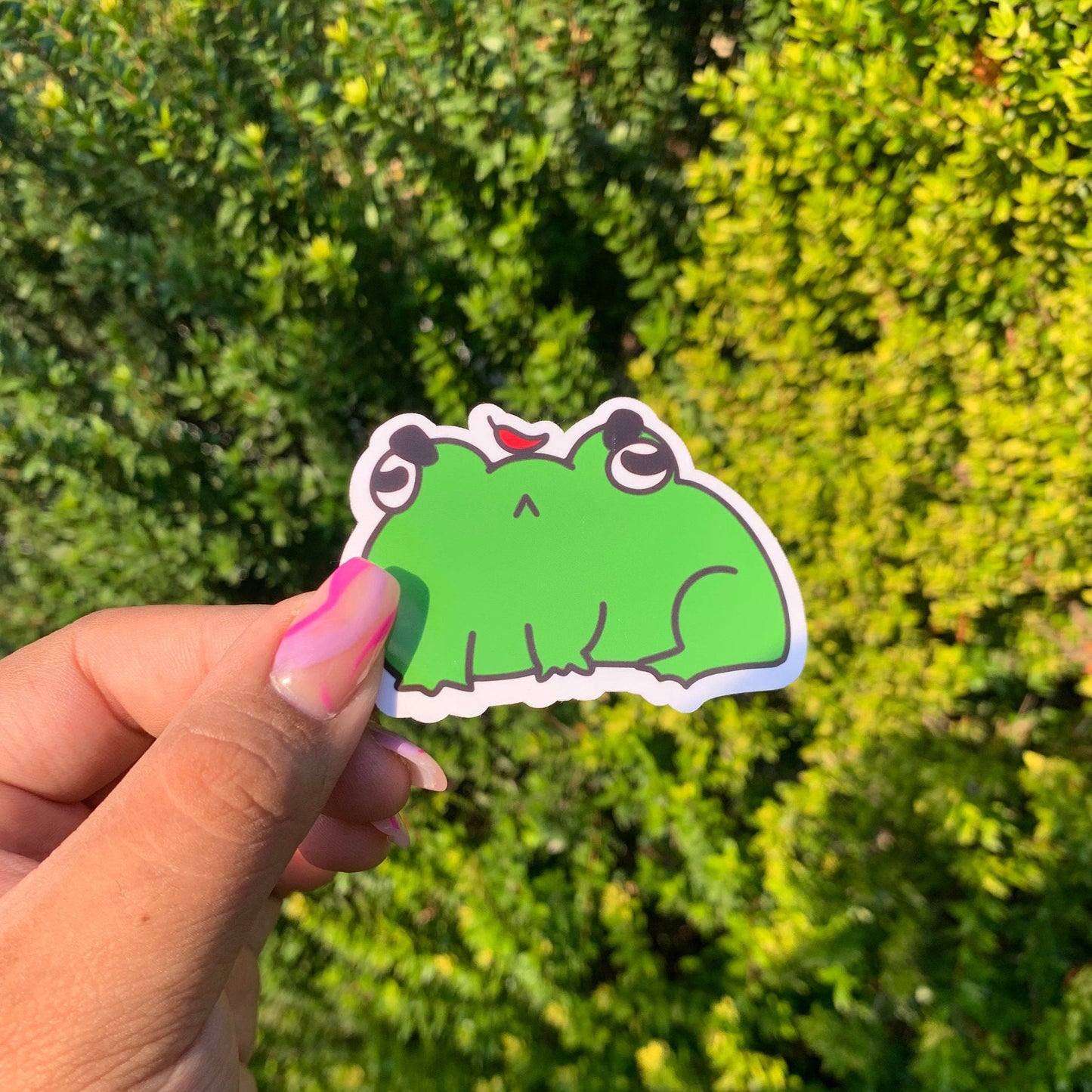 Froggie Boiz Sticker Pack