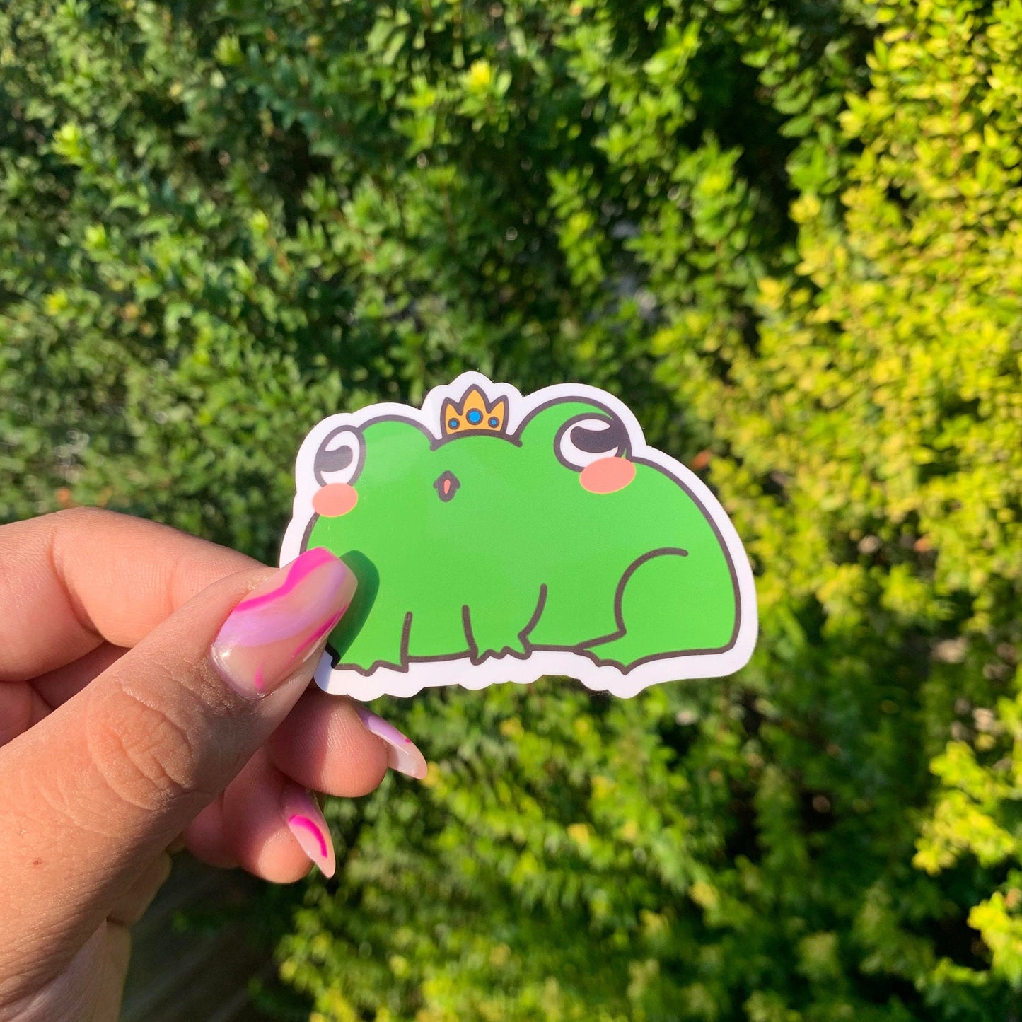 Froggie Boiz Sticker Pack