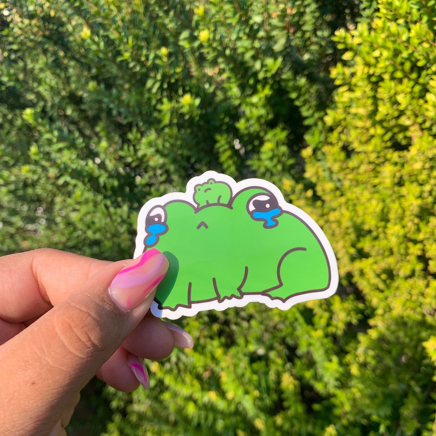 Froggie Boiz Sticker Pack